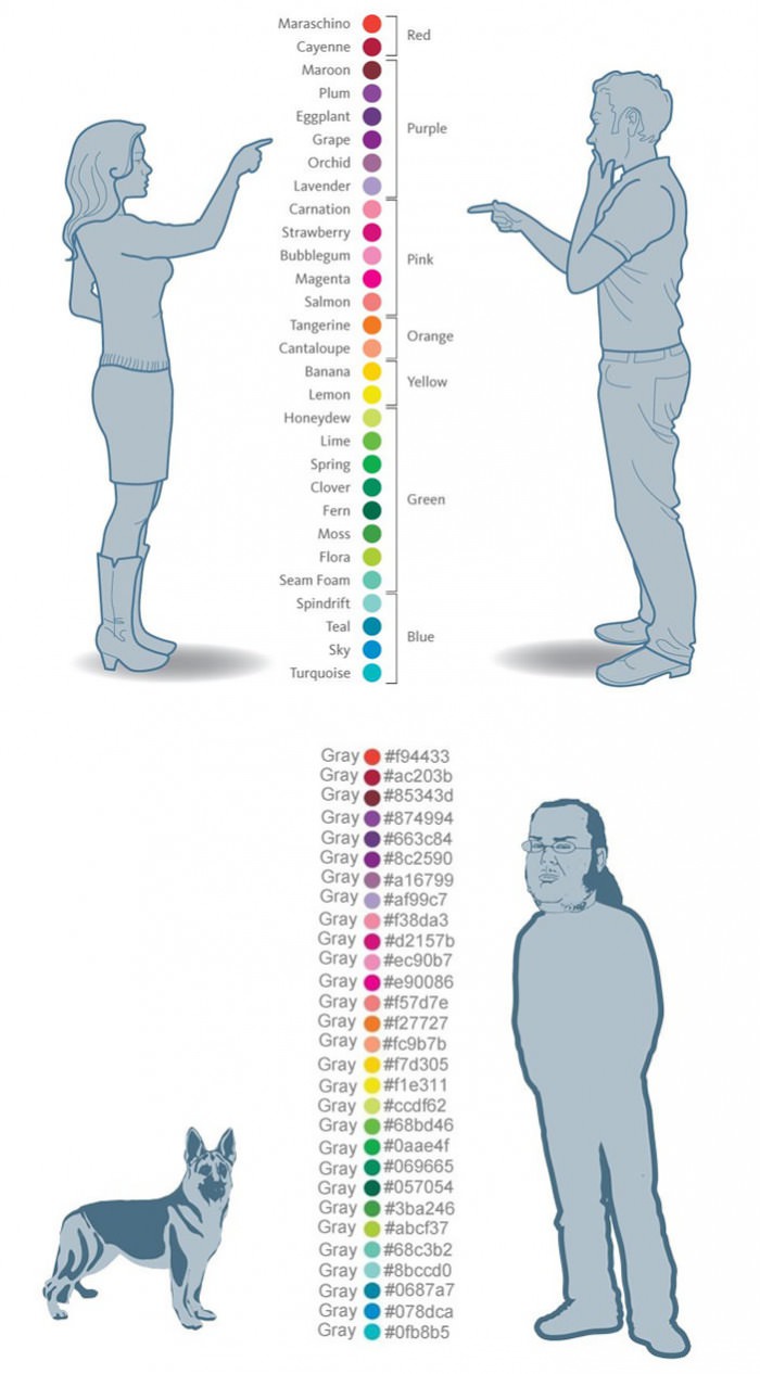 Colors according to men, women, dogs and Programmers