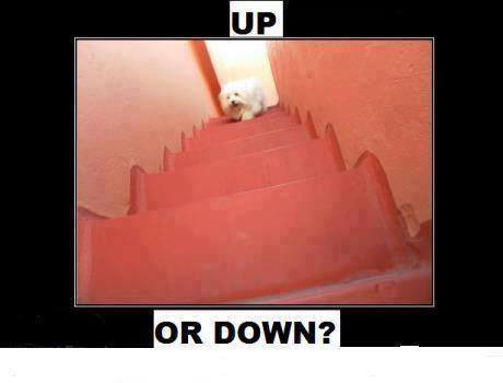 up or down?