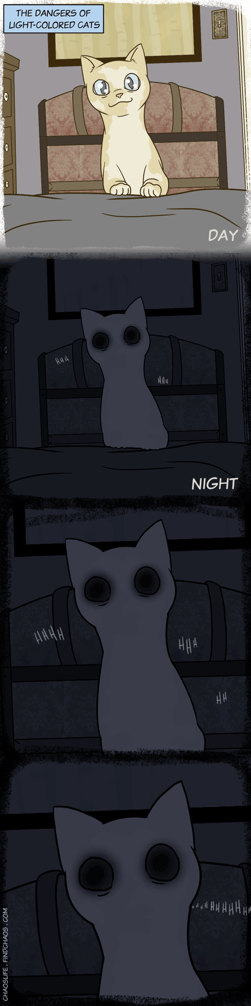 I dont own a cat, but i can imagine...