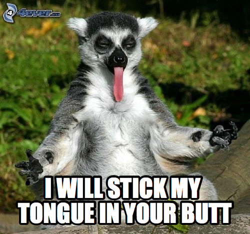 F*cked Up Lemur