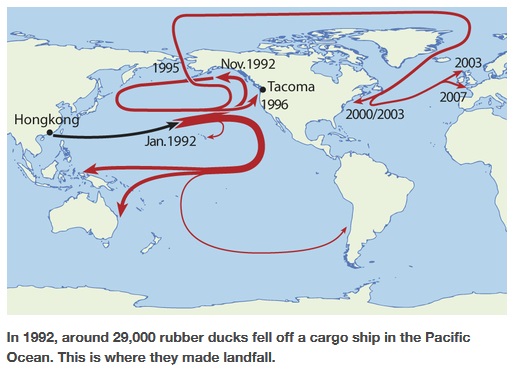 Rubber Ducks In The Ocean