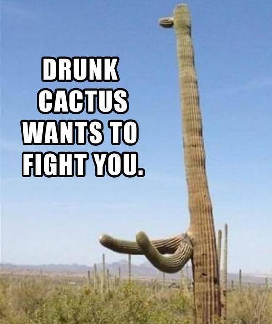 Go home Cactus, you're drunk