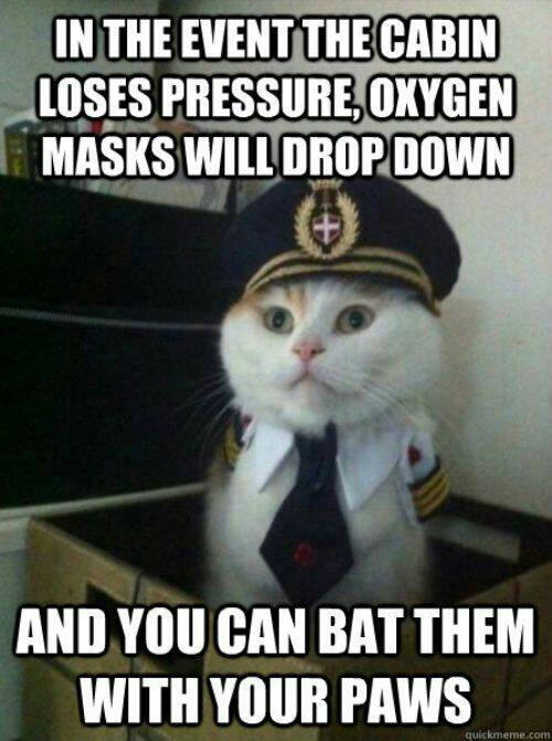 Captain Kitty