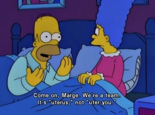 my all time favorite Simpsons quote.