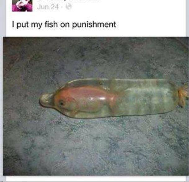 The fish was being a dick