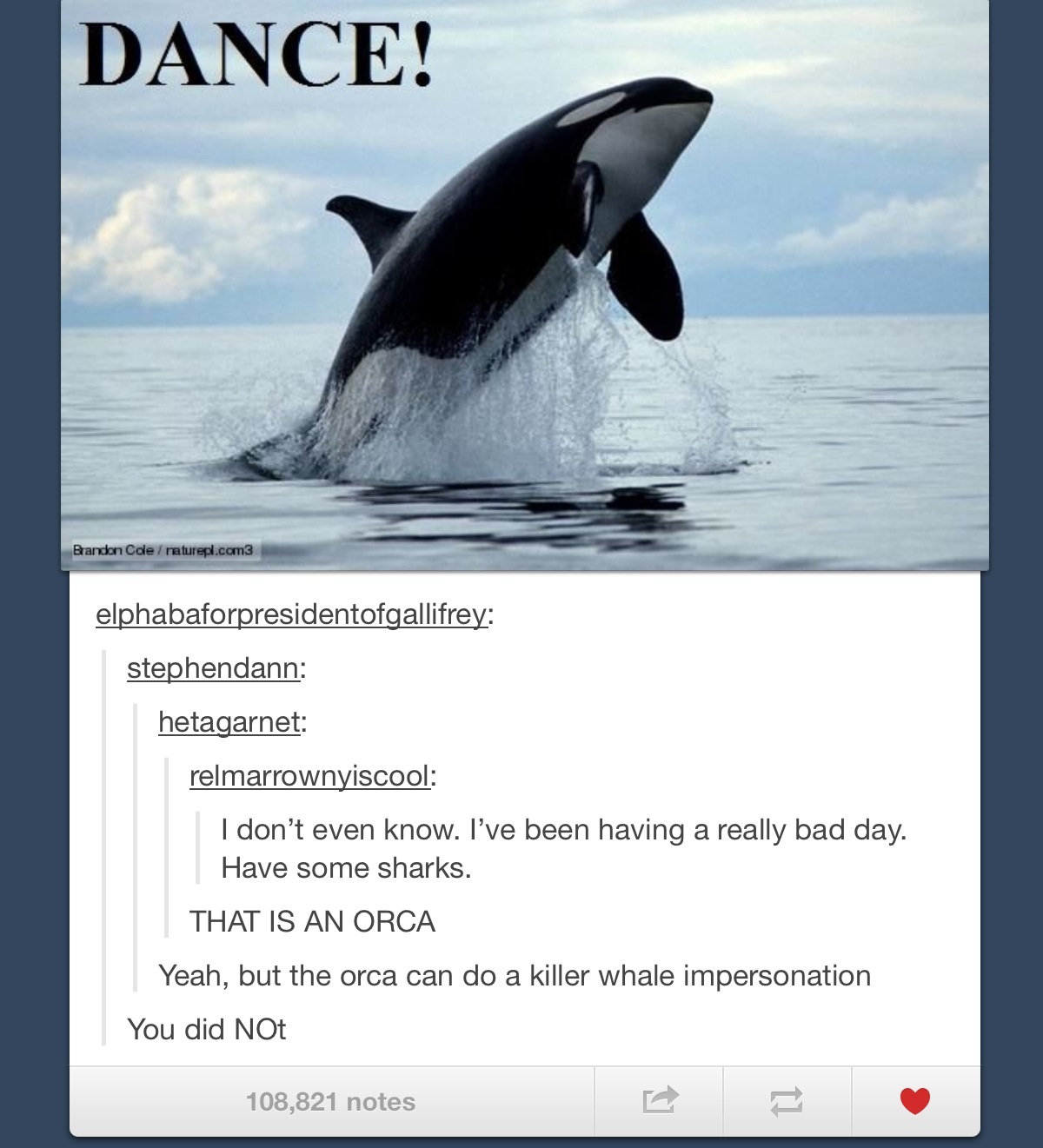 Morepuns from tumblr