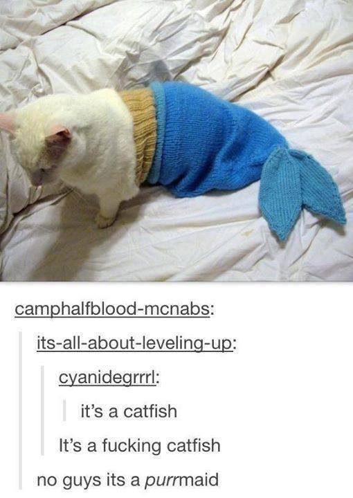 ***en Catfish man!