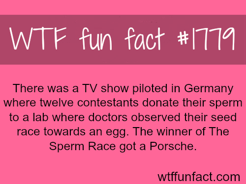 Sorry for the WTF fun facts but this was strange show