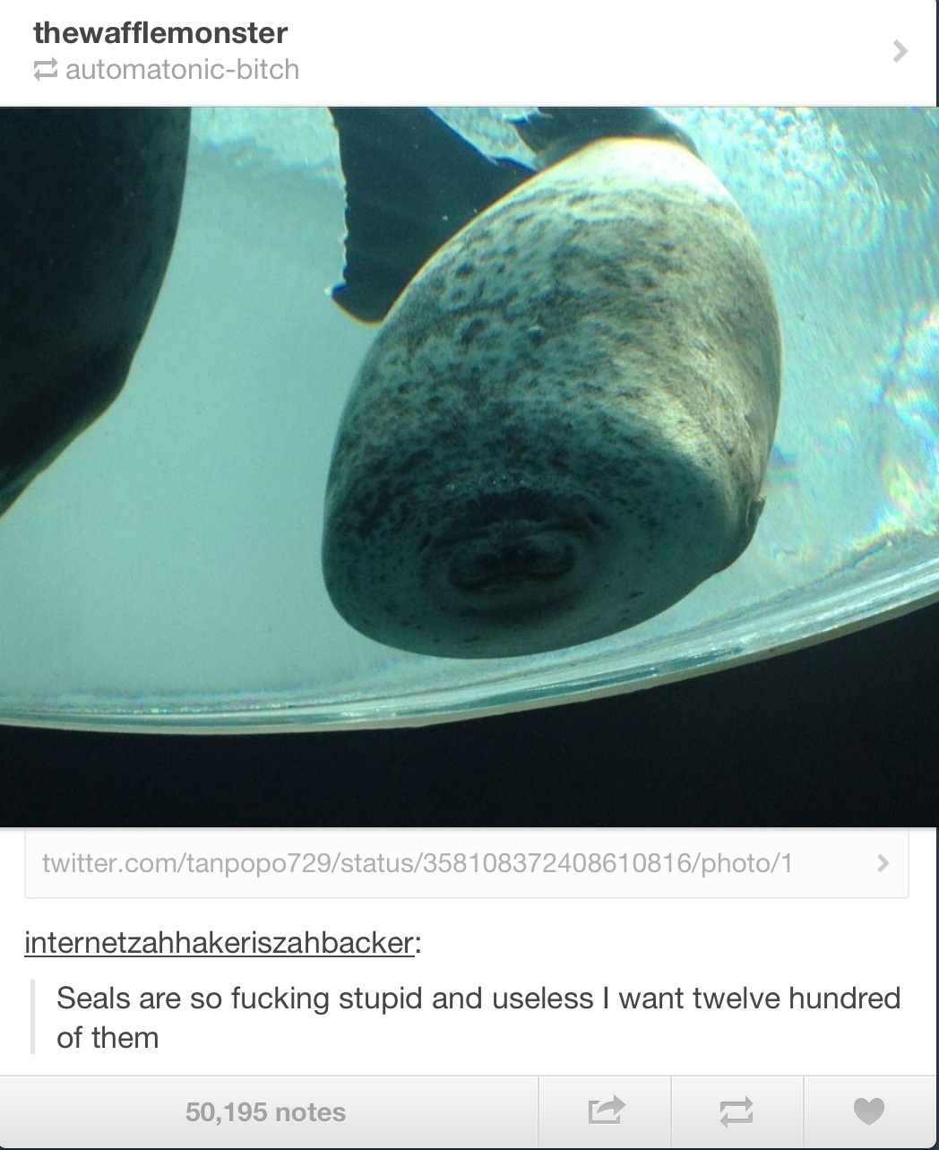 How have seals not gone extinct.