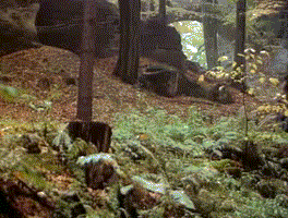 they see me rollin they hatin