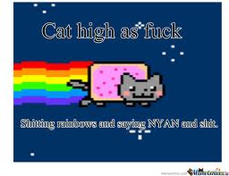 cat high as ***