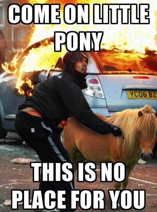 &quot;Come on pony, this is no plave for you!&quot;