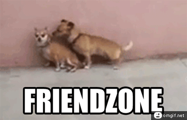 Friendzone in a nutshell