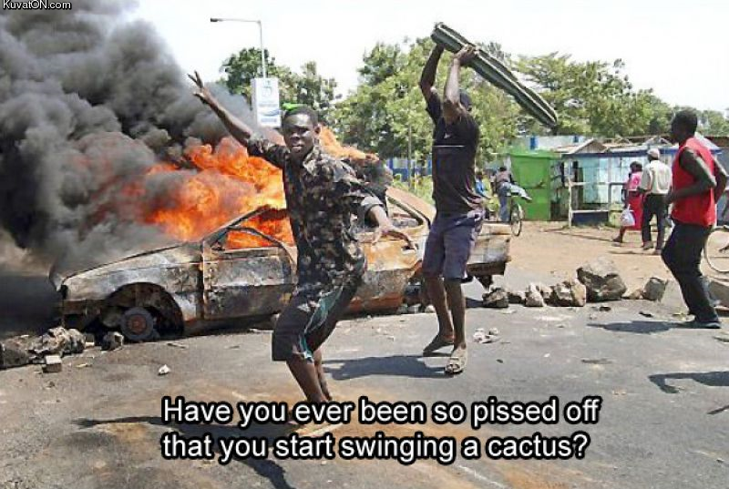 Have you ever been so pissed that you start swinging a cactus?