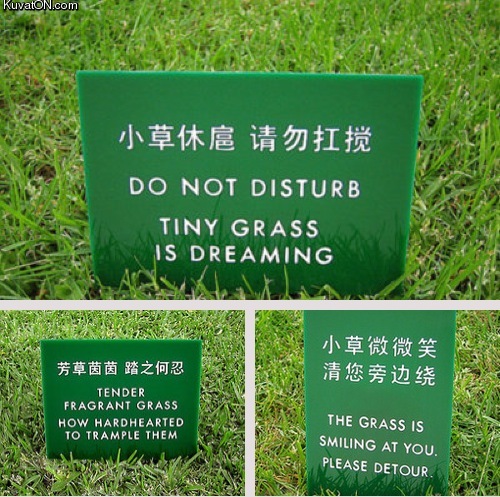 The grass..it's watching