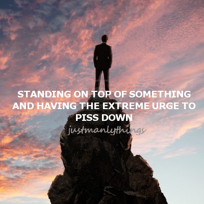 justmanlythings