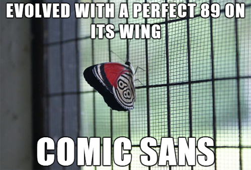 Bad luck Butterfly