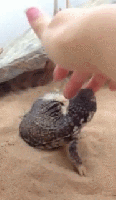 Oh yeah, that's the spot ... don't stop