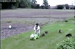"Catch the human!"