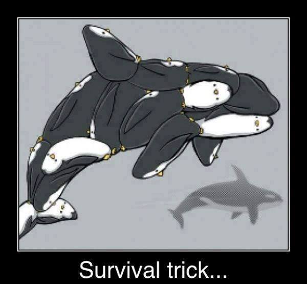 survival trick