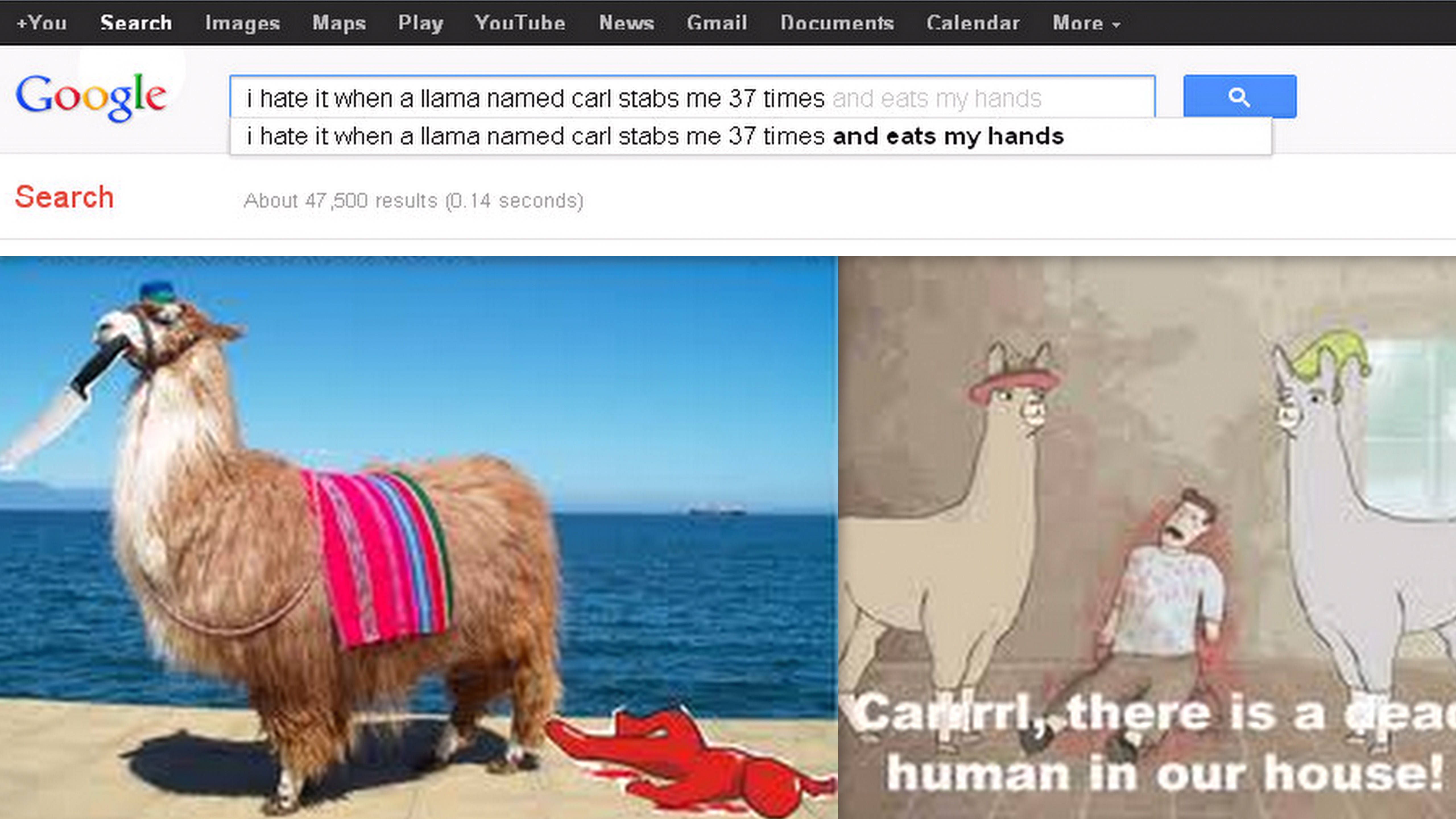 Llama named Carl....