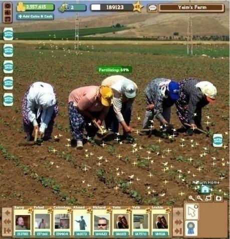 Real Life Farmville