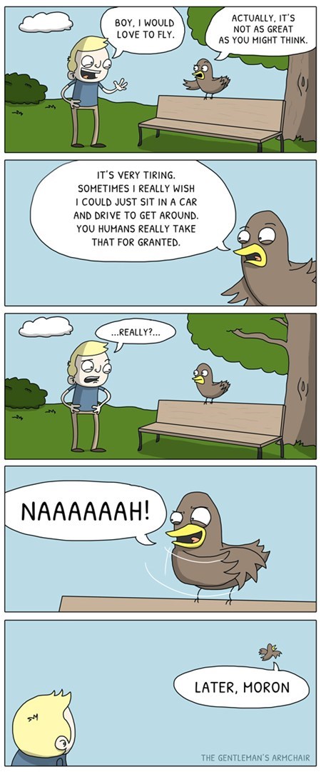 Scumbag birds