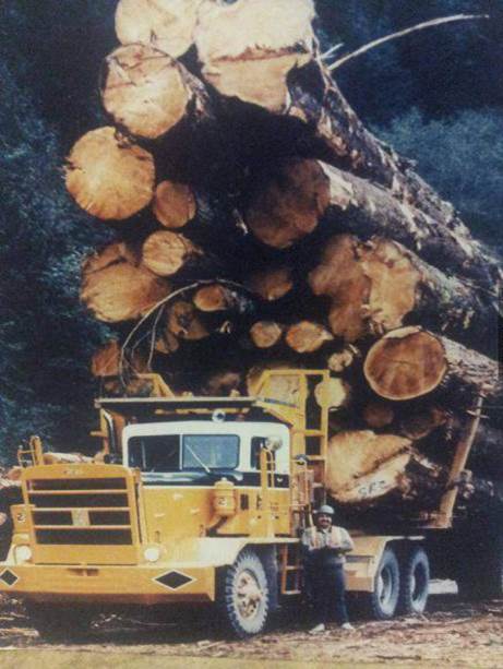 The old days of logging in Canada. Yes, this picture is real.
