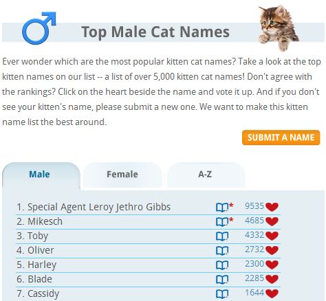That's nice name for a cat!