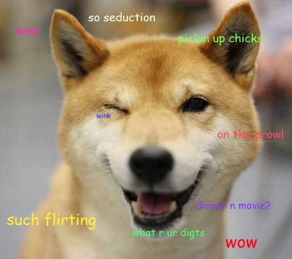 thanks doge