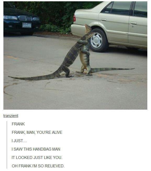 You scared the lizard out of me Frank!