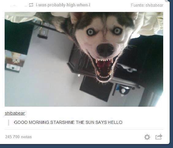 Good Morning, Starshine.