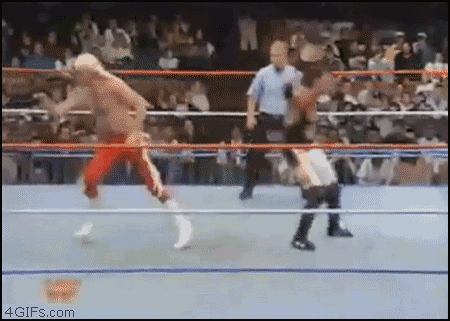 Nice wrestling move