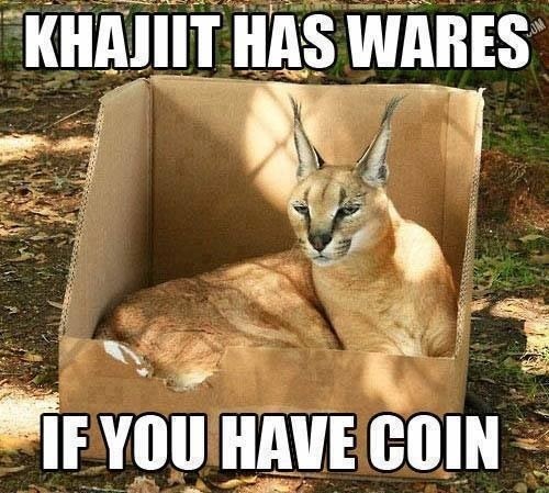 M'aiq knows many things. What is your interest?