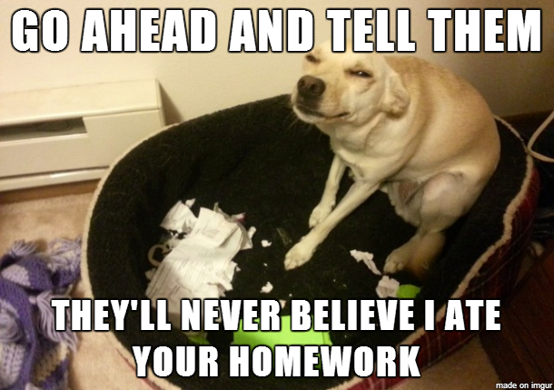 The Dog Ate My Homework