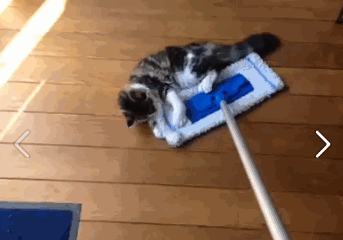 Swiffer's new cleaner, the Pussy Magnet™