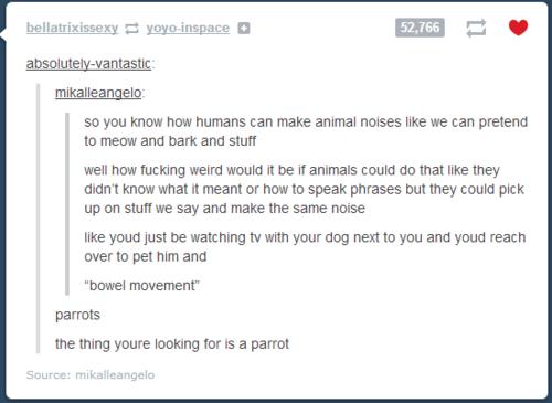 That's some more wierd shit tumblr