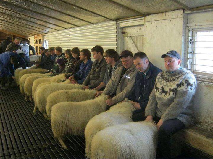 Speed dating in Wales.