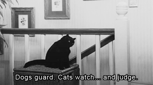 salem is the best