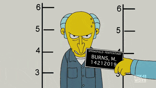 Looks like Mr. Burns doesn't support flash...
