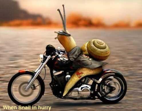 Badass Snail