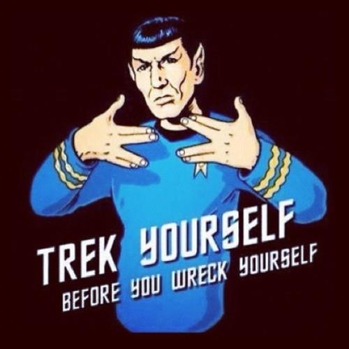 Party Spock in the house tonight, everybody have a logical time