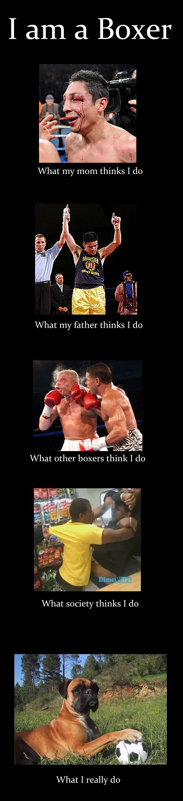 So I&acute;m a boxer