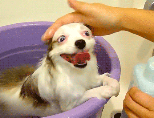 Where will you be when the acid kicks in