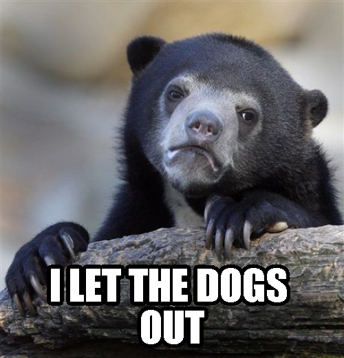 It has been just over 13 years, with millions of people hunting me down