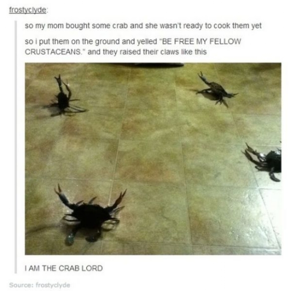 The crab lord