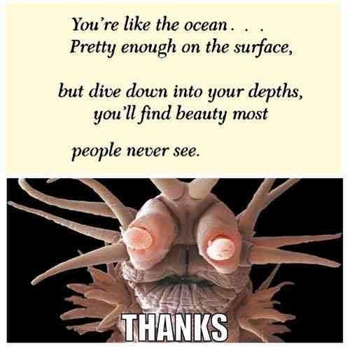 You're like the ocean