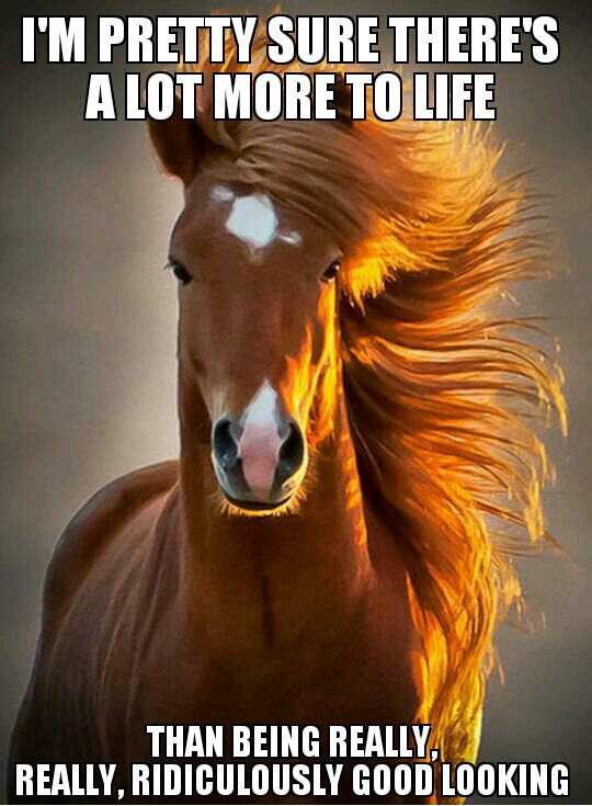 Real Pone is Best Pone