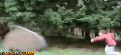 Hold my beer, i have had an amazing idea.. NOPE
