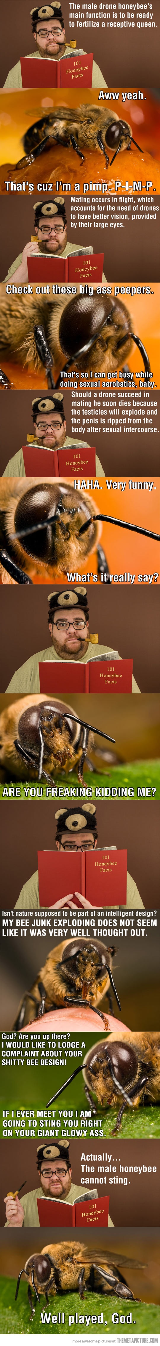 Poor honeybees...